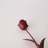 The Decorative Peony