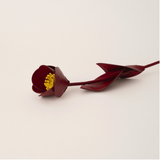 The Decorative Peony
